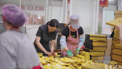 以司法之力，護(hù)茶香悠悠——宣恩縣法院加強(qiáng)知識產(chǎn)權(quán)法治保障有力支持全面創(chuàng)新